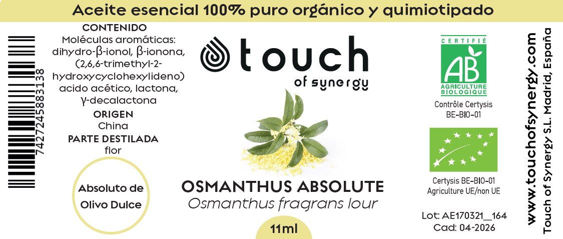 Olivo Dulce (11 ml)1