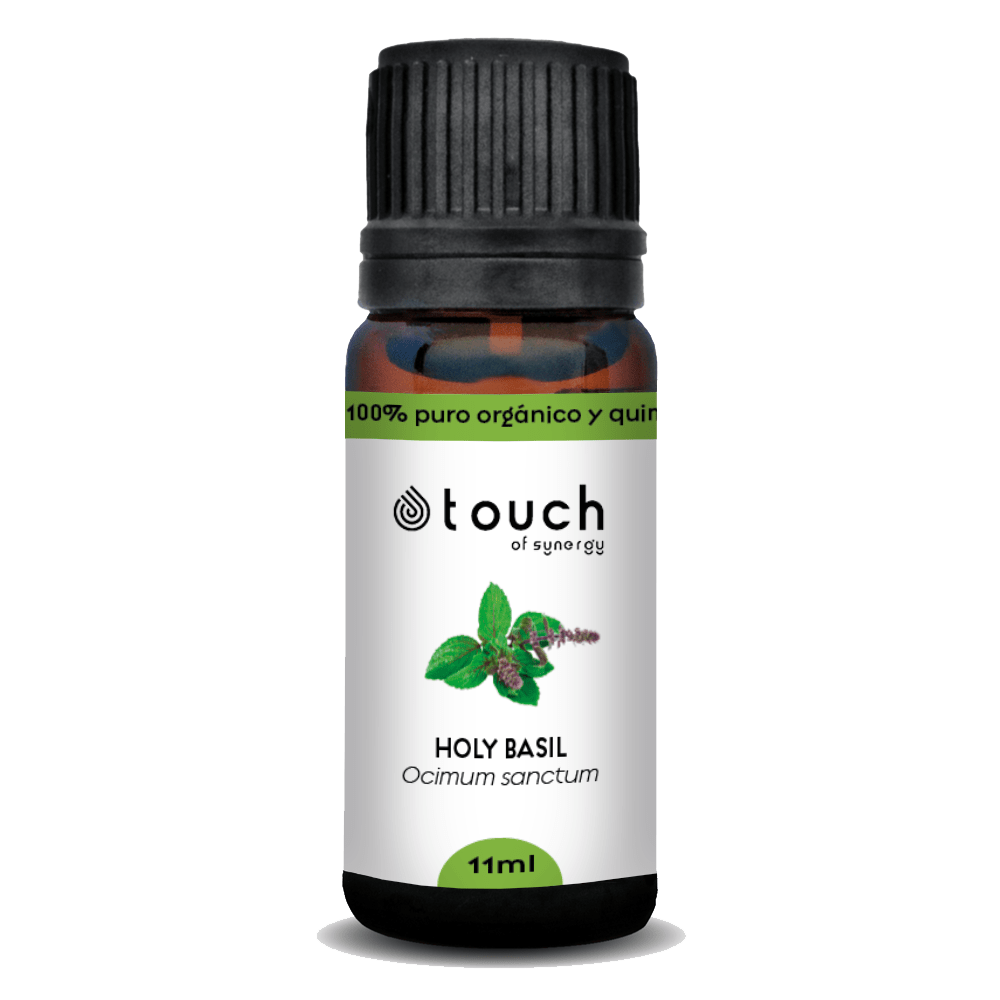 Albahaca Sagrada (11 ml)2