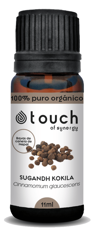 Bayas de Canela de Nepal (11 ml)2