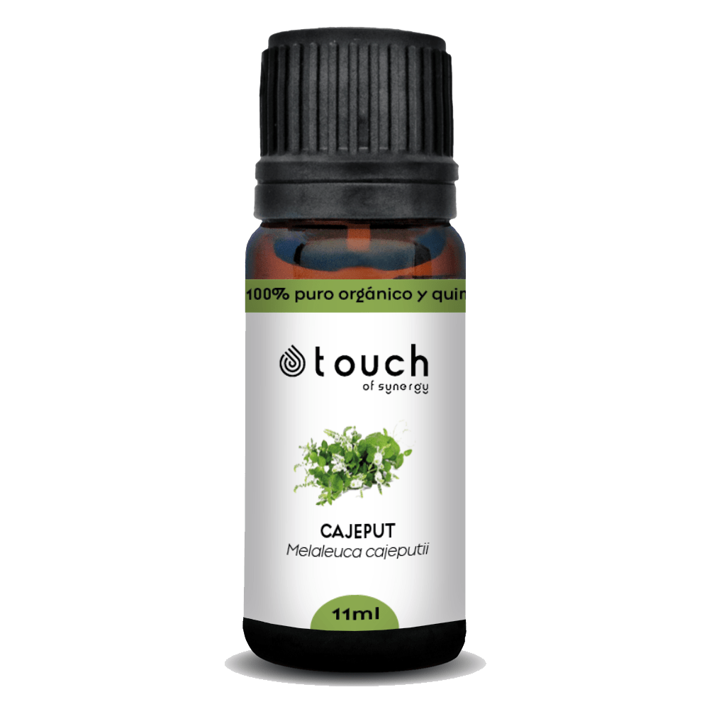 Cajeput (11 ml)2