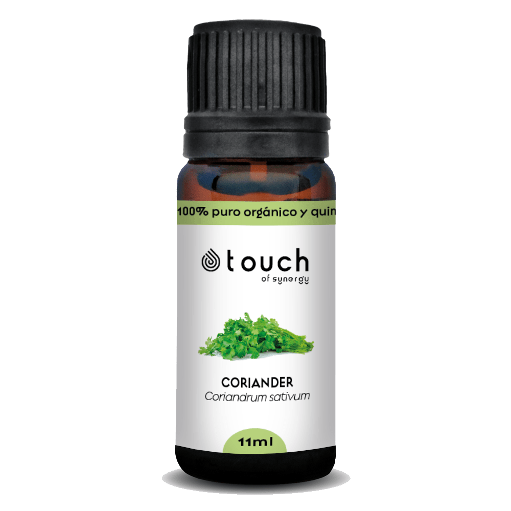 Cilantro (11 ml)2