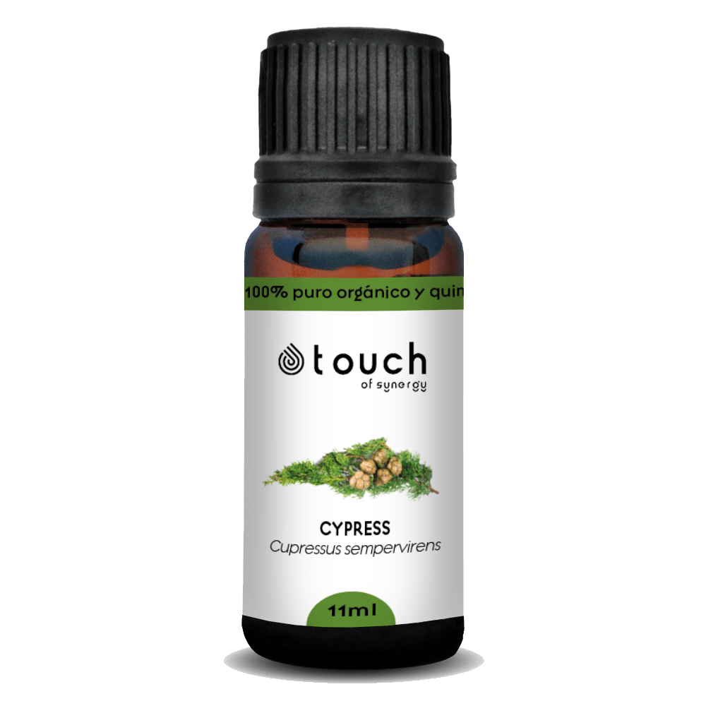 Ciprés de Provenza (11 ml)2