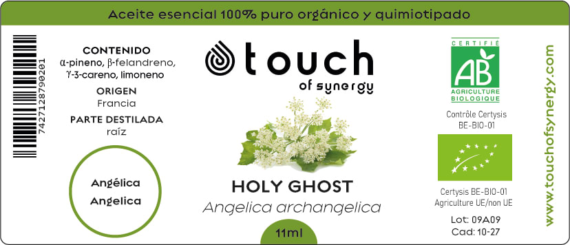 Angélica Raíz (11 ml)1