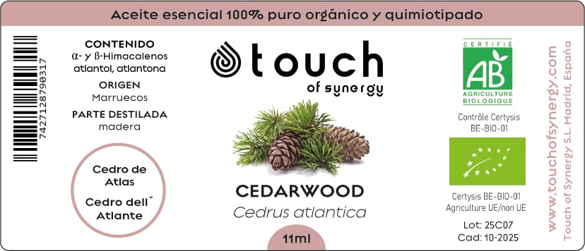 Cedro de Atlas (11 ml)1