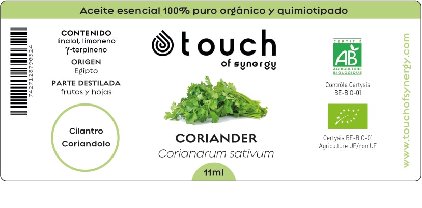 Cilantro (11 ml)1