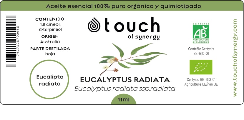 Eucalipto Radiata (11 ml)1