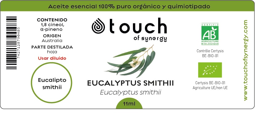 Eucalipto Smithii (11 ml)1