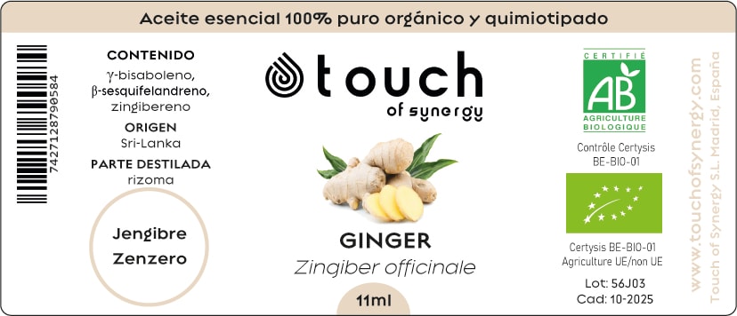 Jengibre (11 ml)1