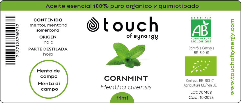 Menta de Campo (11 ml)1
