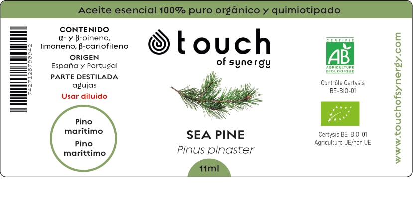 Pino Maritimo (11 ml)1