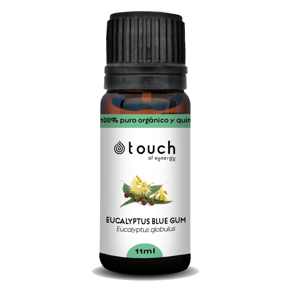 Eucalipto Comun (11 ml)1