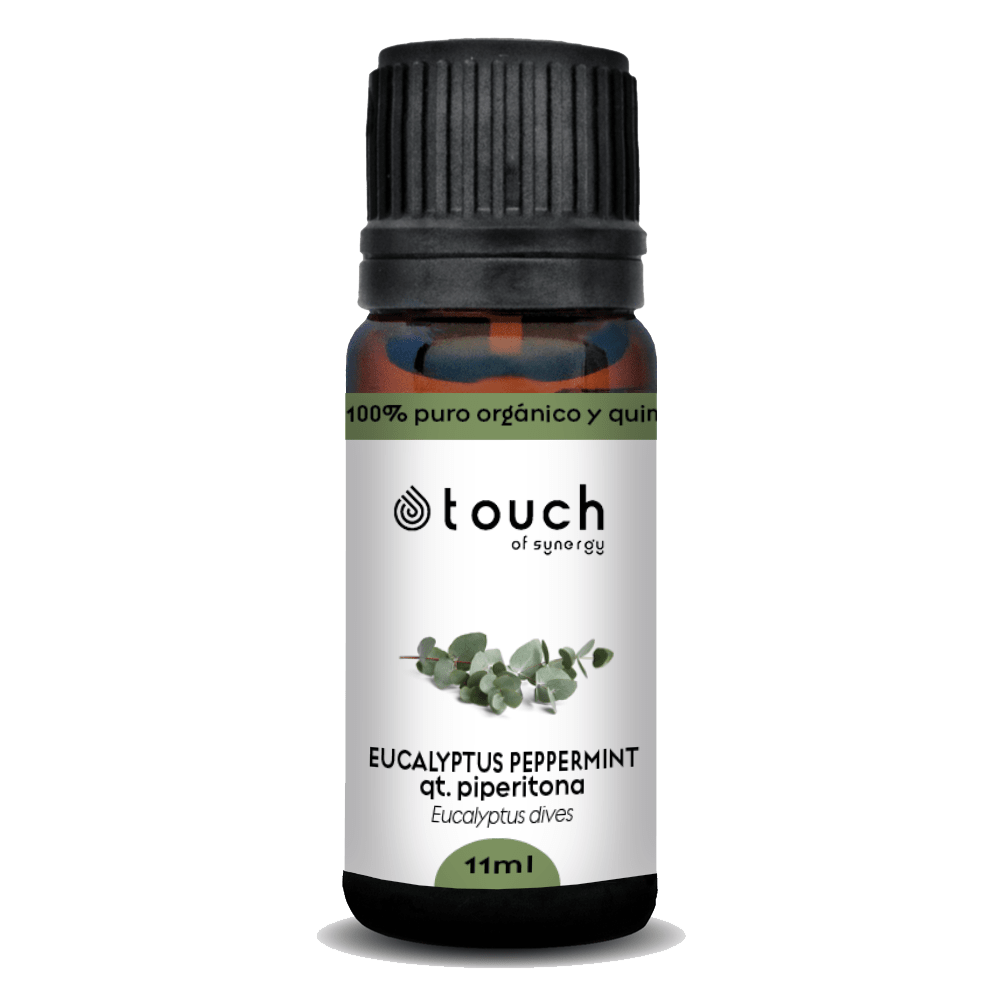 Eucalipto Mentolado (11 ml)2