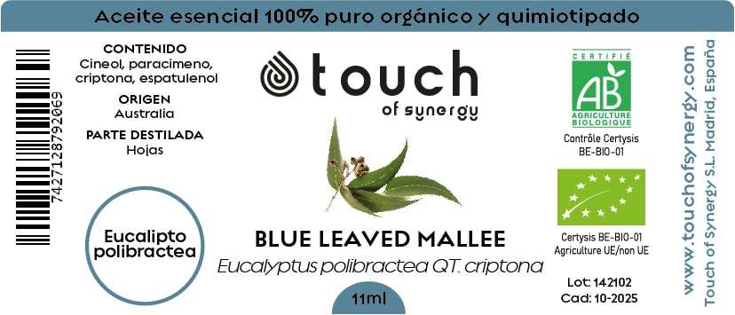Eucalipto Polybractea (11 ml)2