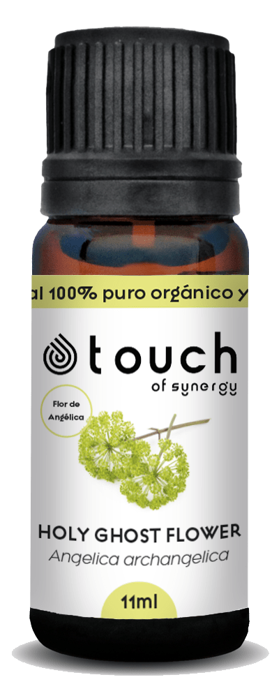 Angélica Flor (11 ml)2