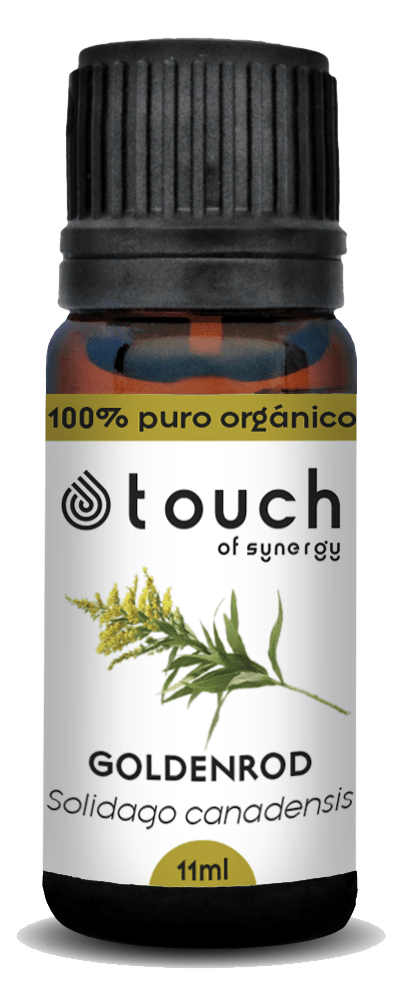 Gavilla de Oro (11 ml) 2