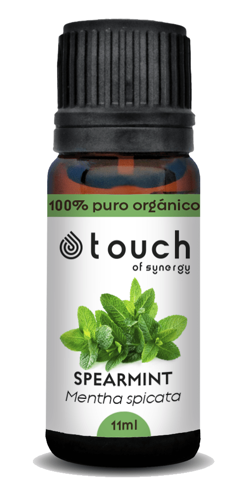 Menta hierbaluisa (11 ml)2