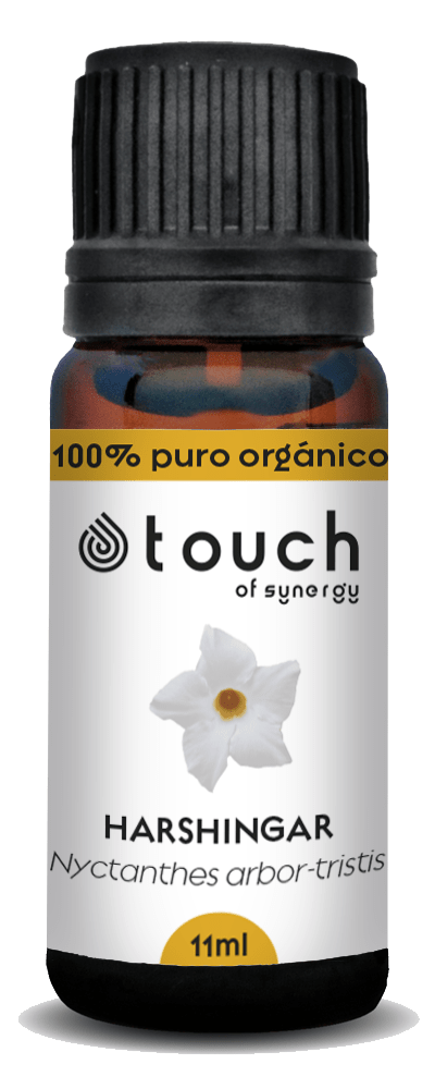 Jazmín de Noche (11 ml)1