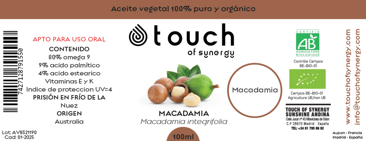 Macadamia1