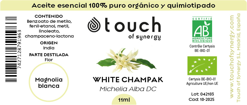 Magnolia Blanca (11 ml)1