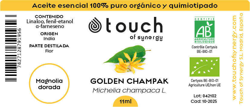 Magnolia Dorada (11 ml)1