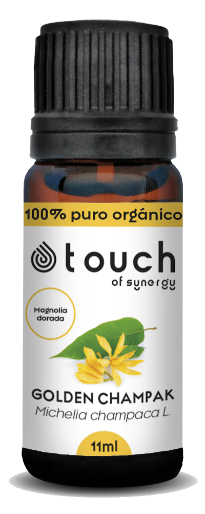 Magnolia Dorada (11 ml)2