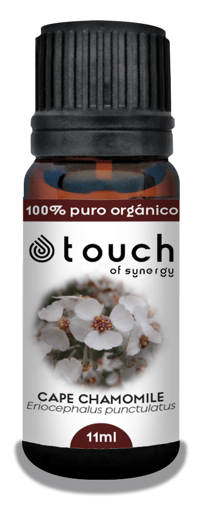 Manzanilla Sudafricana (11 ML)1