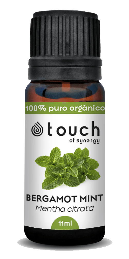 Menta Bergamota (11 ml)2