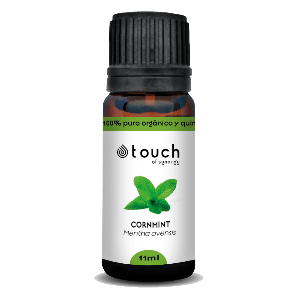 Menta de Campo (11 ml)2