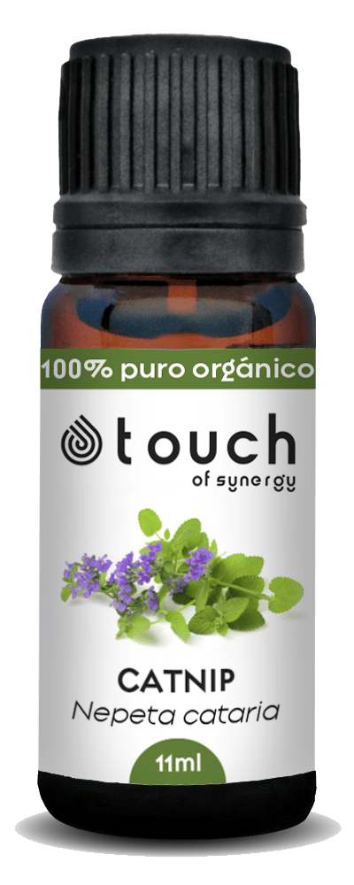 Menta gatera (11 ml)2