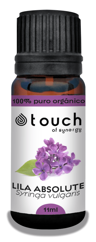 Lila (11 ML)1