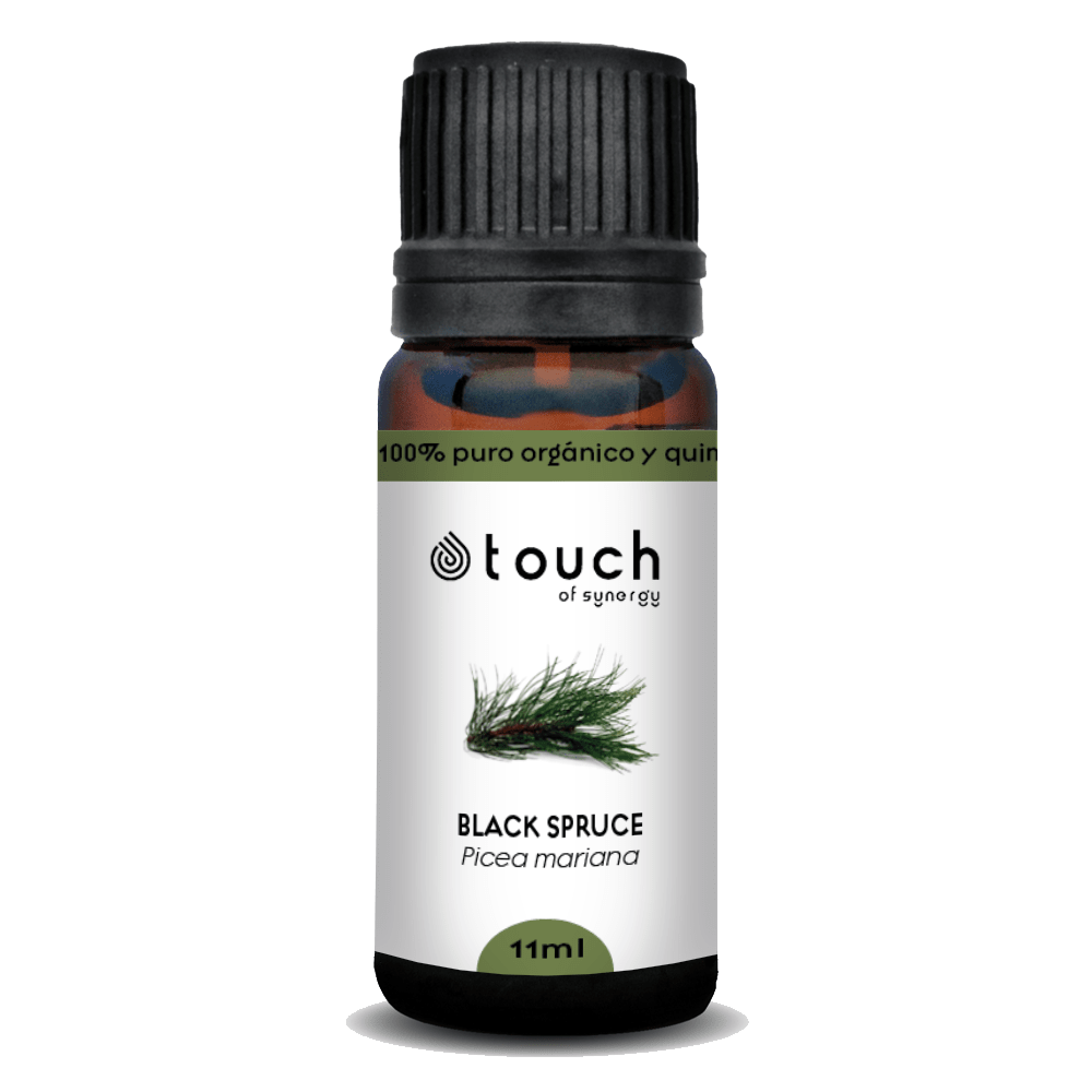 Picea Negra (11 ml)2
