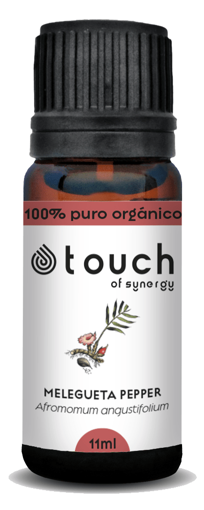 Pimiento Melegueta (11 ml)1