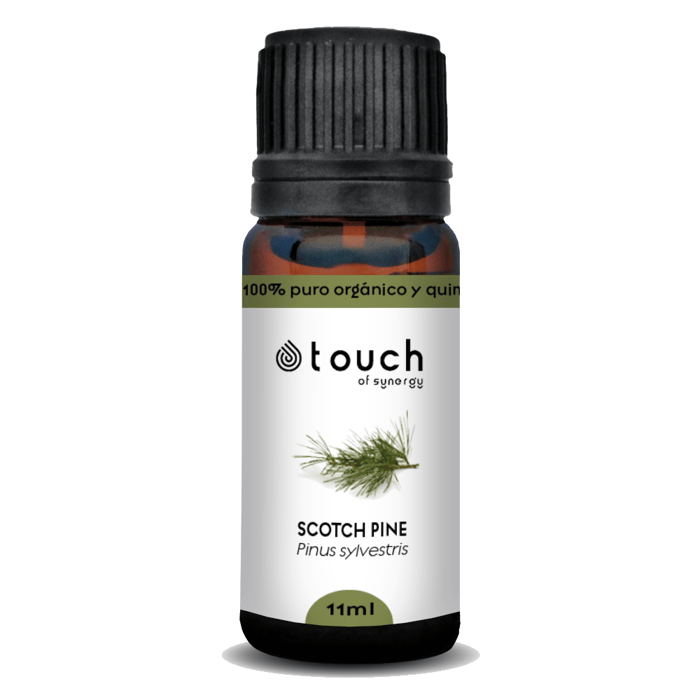 Pino Silvestre (11 ml)2