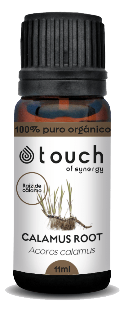 Raíz de Cálamo (11 ml)1