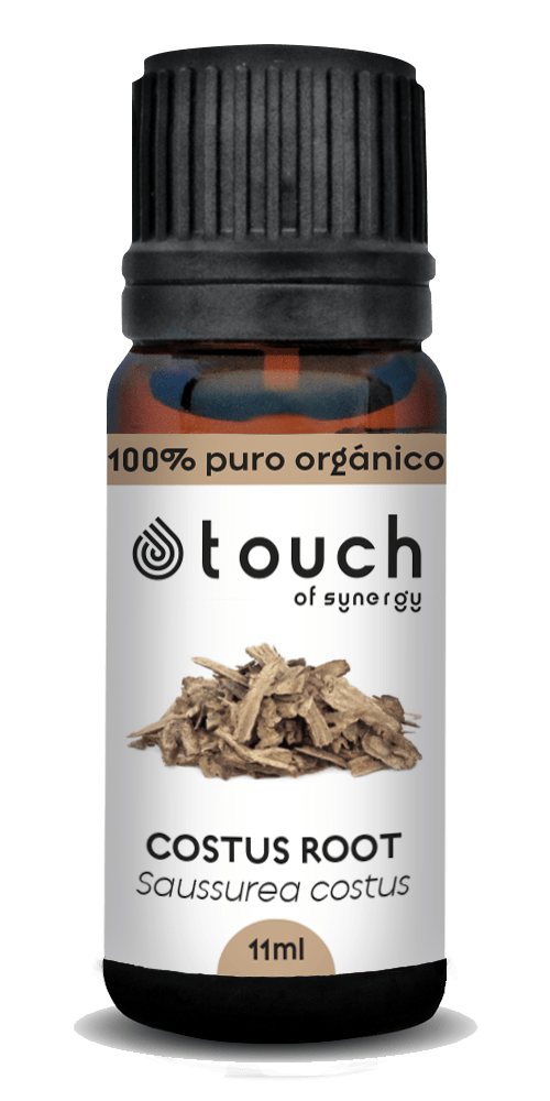 Raíz de Costus (11 ml)2