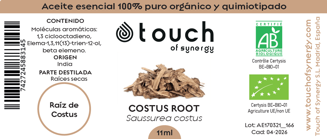 Raíz de Costus (11 ml)1