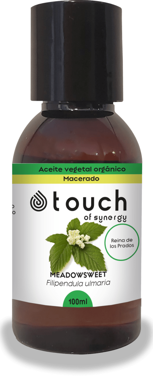 Reina de los Prados2