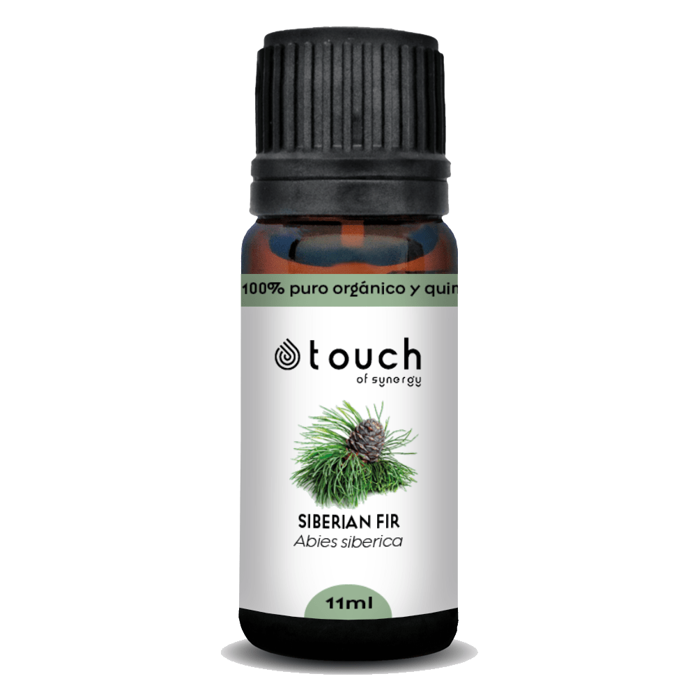 Abeto  de Siberia (11 ml)1