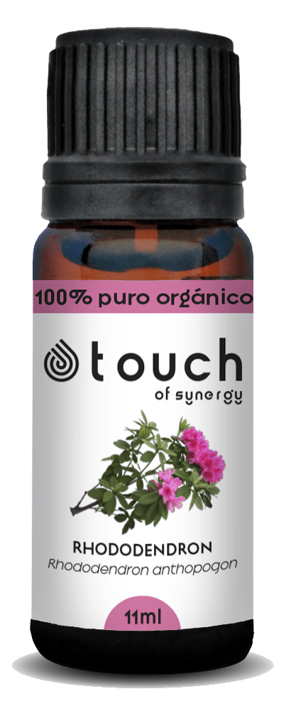 Rododendro (11 ml)1
