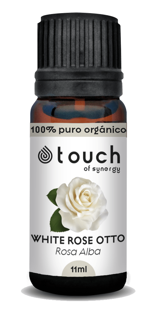 Rosa Blanca (11 ml)2