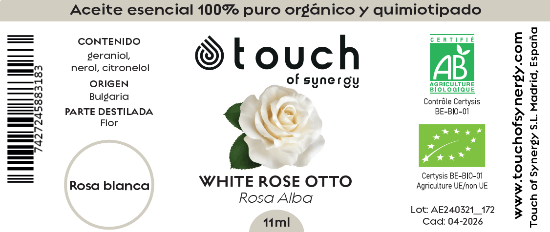 Rosa Blanca (11 ml)1