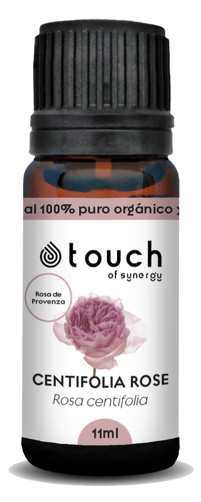 Rosa Centifolia - Provenza (11 ml)1