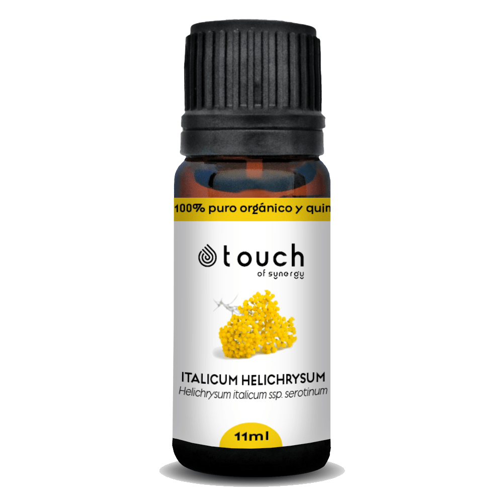 Siempreviva Italiana (11 ml)2