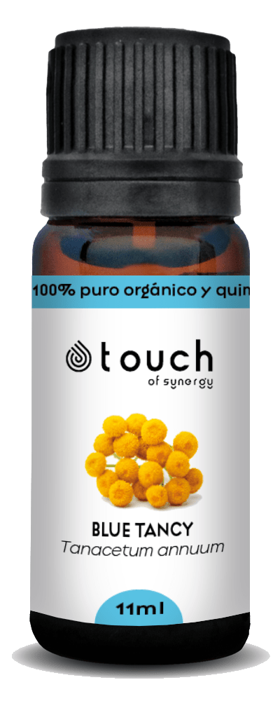 Tanaceto Azul (11 ml)2