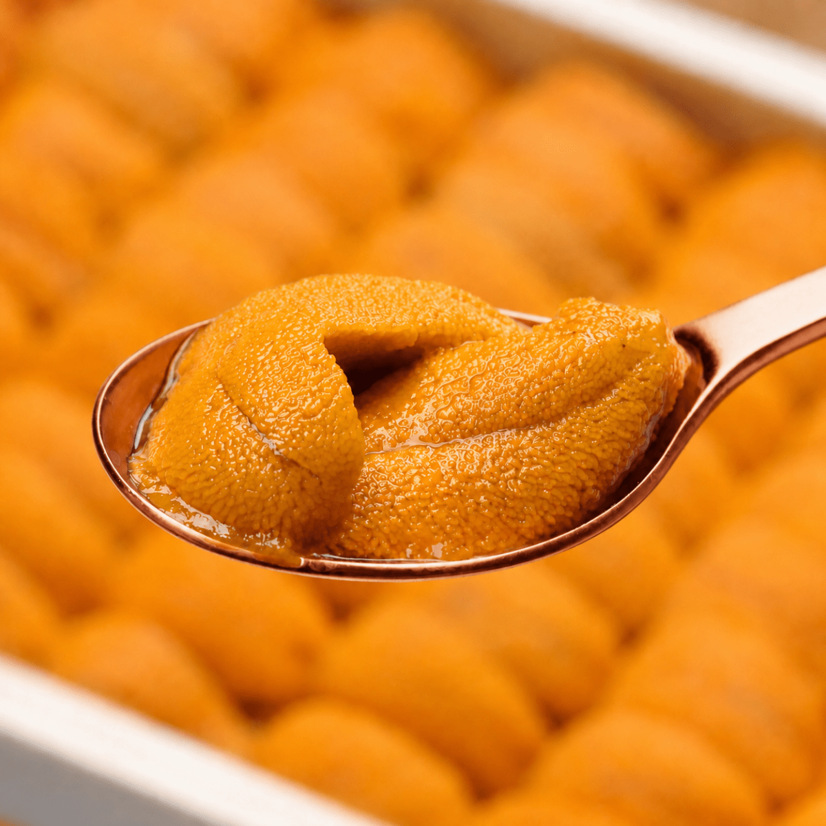 Lenguas de Erizo del Norte Congeladas 100 g2