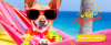 Especial Verano