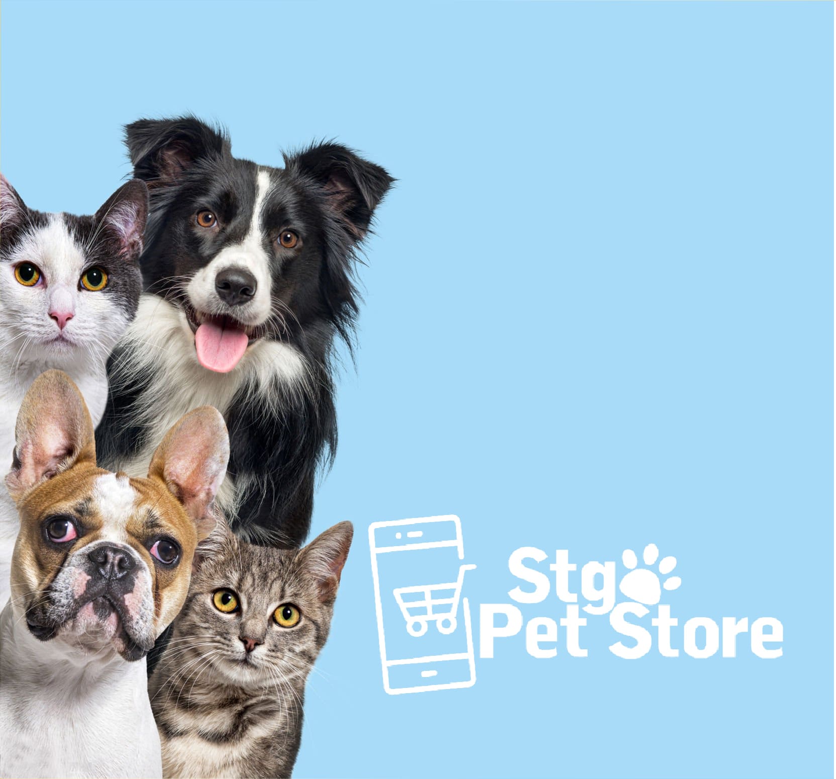 Cuidado y Bienestar Animal en SantiagoPetStore: Nuestro compromiso va más allá de la venta.