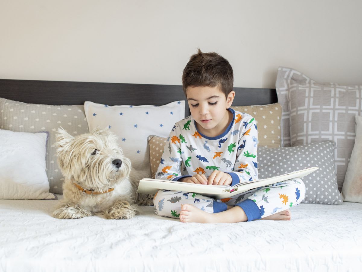 Aprendizaje con Peludos: El Impacto Positivo de las Mascotas en los Niños
