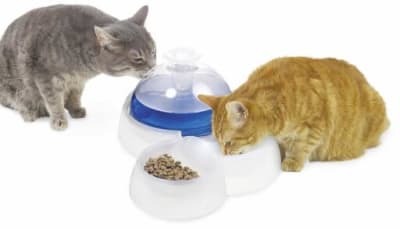 CATIT FRESH & CLEAR FUENTE DE AGUA CON COMEDERO