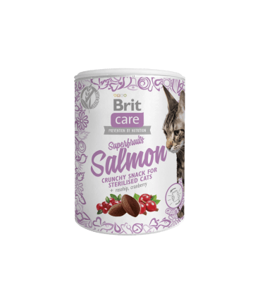 BRIT CARE CAT SUPERFRUITS SALMON  100 GRS1